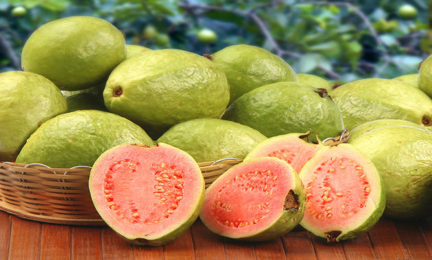 rsz_shutterstock_173770400 (1)