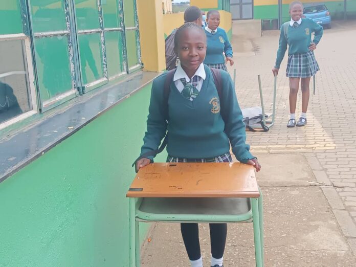 Form V pupil Sanelisiwe Mphaphu shines in UEDF recruitment and heads to exams