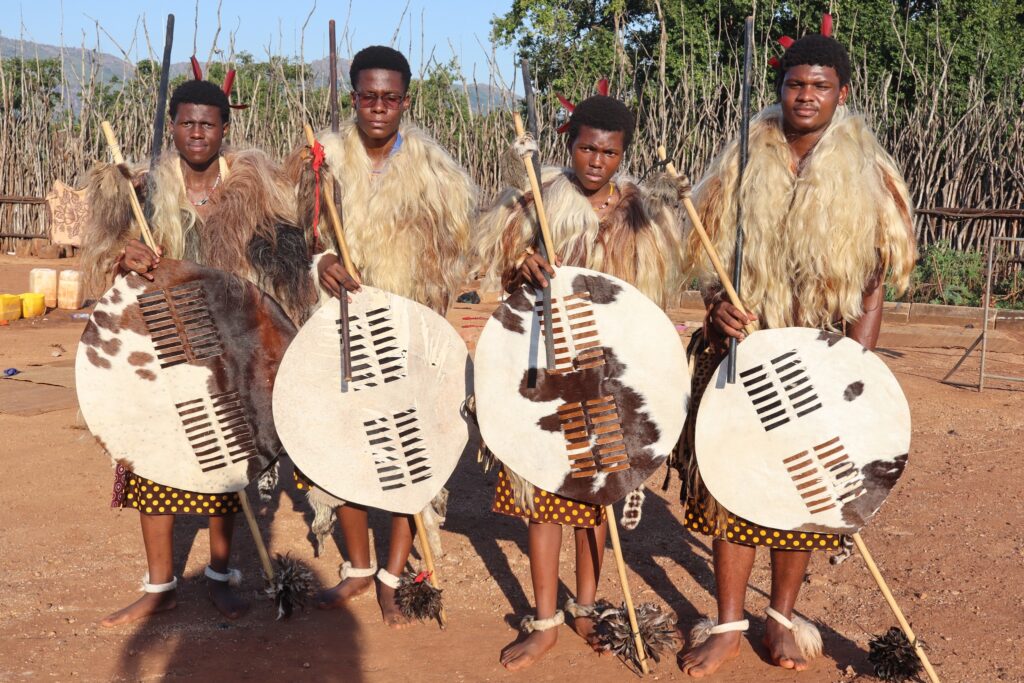 Large numbers of youth, maidens and Ingaja turned out for the main day of the Incwala ceremony at Ludzidzini, with many attending for the first time.