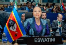 Govt blames Chinese deportations for 3 foreigners removal delay Minister of Foreign Affairs and International Cooperation Pholile Shakantu.