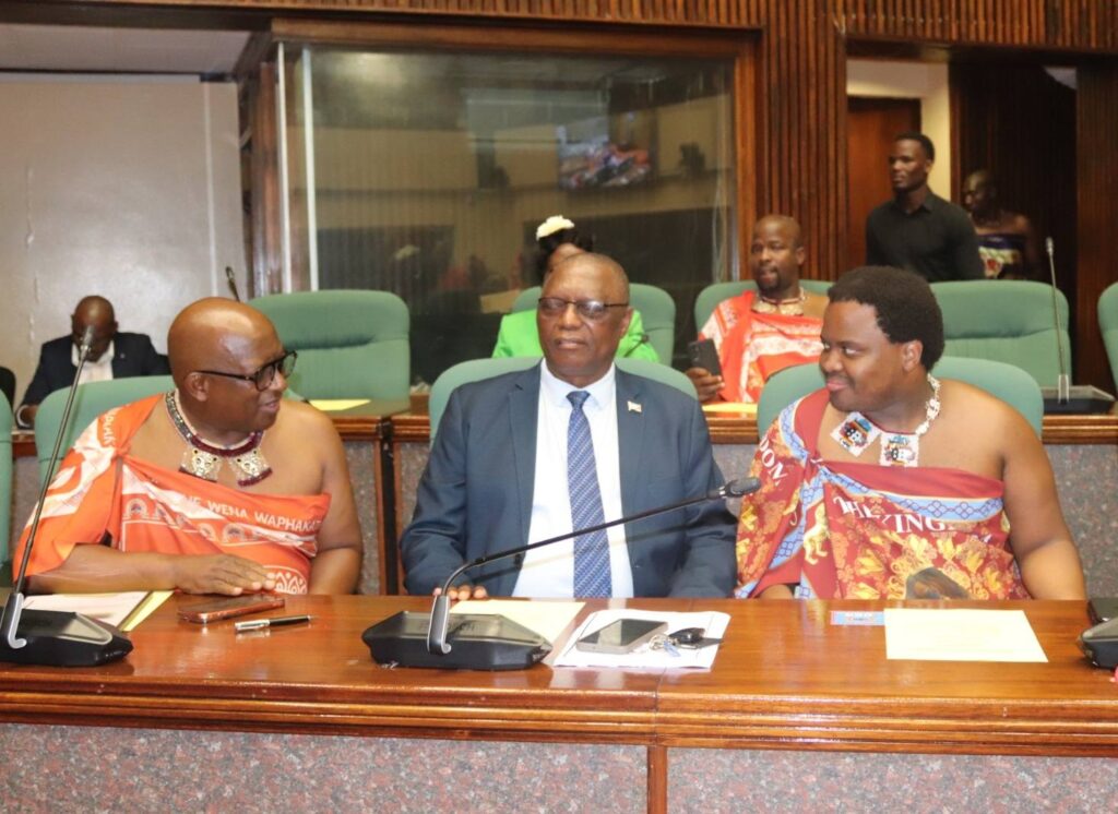 Lobamba Lomdzala MP Marwick Khumalo has challenged the credibility of the national budget, citing questionable allocations and funds for non-existent entities.