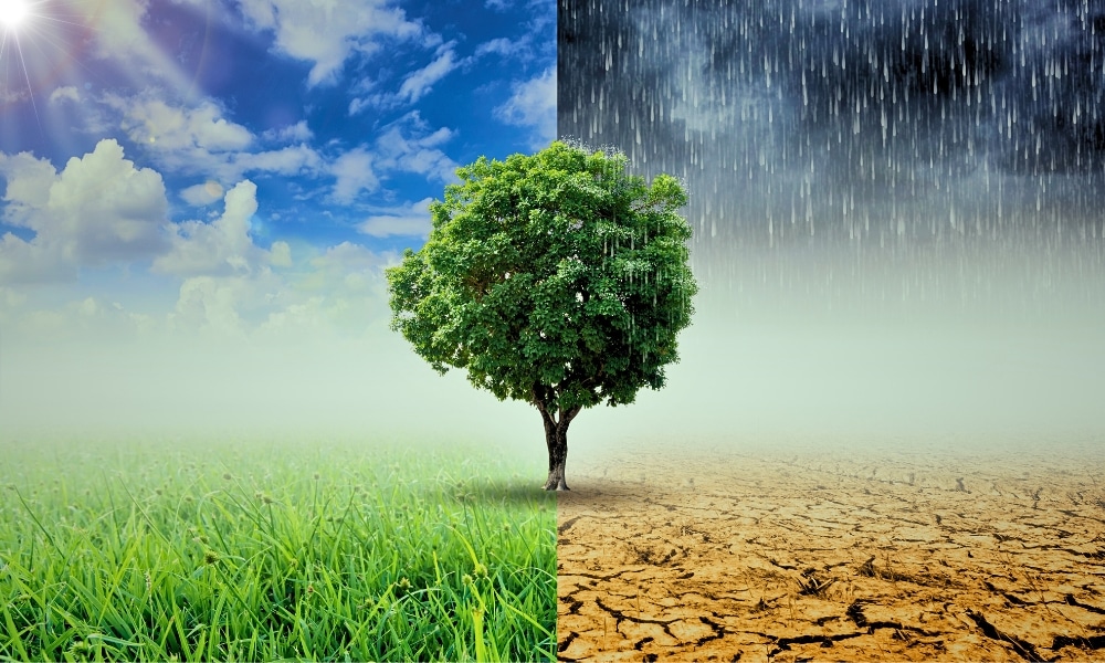 The National Disaster Risk Management Authority warns that Eswatini cannot afford another major climate disaster like the E3.8 billion El Niño event of a decade ago and is urging early preparedness.