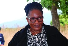 DPM’s shoes too big to fill – MPs Deputy Prime Minister Thulisile Dladla