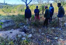 Grave dug up, body missing A family in Ndlalambi has been left traumatised after discovering that the grave of their relative, who died in 2009, was dug up and both the coffin and body were missing.