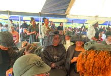 I’ve been humiliated, hurt – Wife Nolwazi