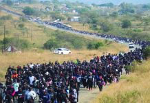 Record 17 000 take part in Lidwala Wellness Walk A record-breaking 17,000 participants took part in the 24km Lidwala Insurance Wellness Walk from Matsamo to Mkhuzweni, tripling last year's attendance.
