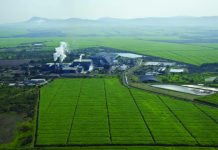 Sugar industry hits E8bn revenue despite market squeeze