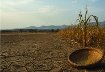 22 000 Emaswati to slip into emergency hunger levels