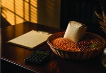 Cost of a dry summer