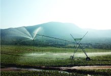 Commercial irrigated farms to cushion drought shock