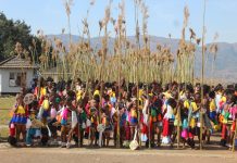 Thousands of maidens deliver reed before Their Majesties