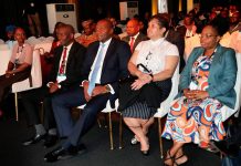 Eswatini targets 1 000MW power by 2030 – PM