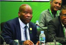 Urgent action needed to transform Africa’s food systems
