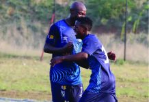 Stingers power past Amawele
