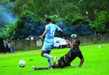 Bull, Leopard renew rivalry in Mayaluka showdown