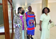 Senator wants govt to run public transport