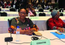 ‘Eswatini needs E1.23bn for disaster resilience’