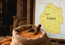 El Niño Threat: ‘Jobs, food supplies at risk’