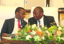 Eswatini developing in its own unique way – PM