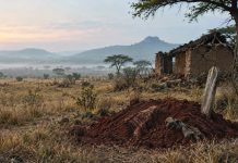 53-year-old grave dug up, community shocked