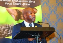 AU commissioner backs seed bank