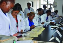 Explore, learn, thrive at Texila American University Zambia
