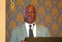 Africa must invest in its own seed – Tshawuka
